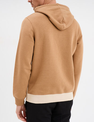 Sweat à capuche hoodie colorbloc Creeks taupe homme