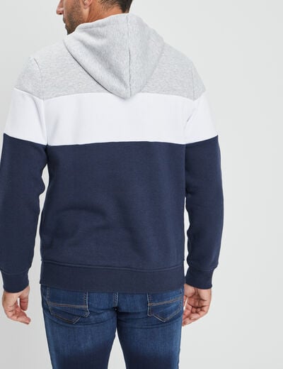 Sweat à capuche hoodie Creeks gris homme