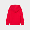 Sweat &agrave; capuche hoodie 1 poche Creeks rouge gar&ccedil;on