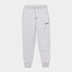 Pantalon de jogging regular Creeks gris clair garçon