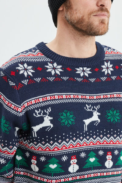 Pull de Noël col rond manches longues multicolore homme