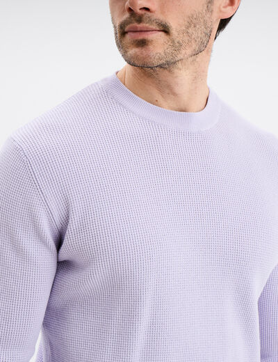Pull avec col rond à relief parme homme