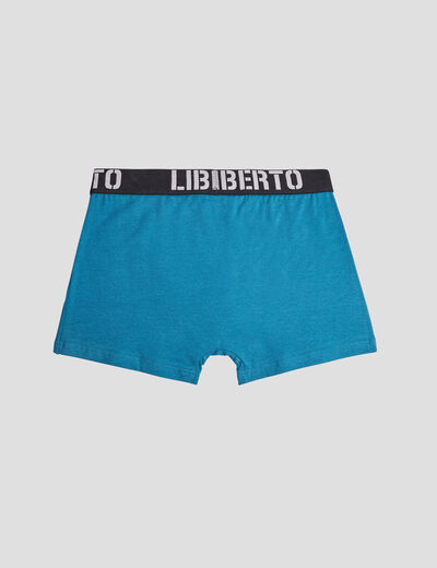 Lot 3 boxers coton Liberto gris homme