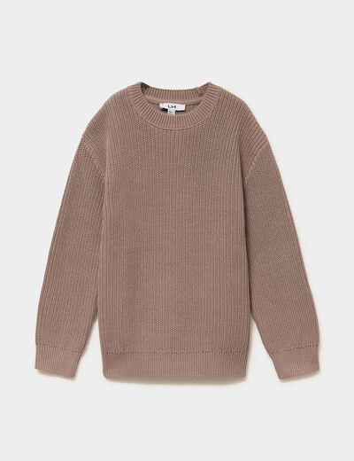 Pull col rond manches longues coton taupe gar&ccedil;on