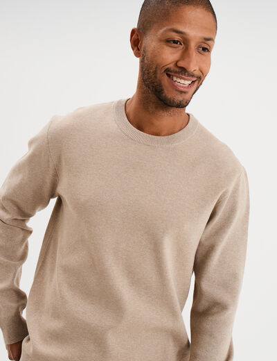 Pull col rond manches longues sable homme