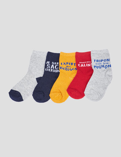 Lot 5 paires chaussettes gris bébé garçon