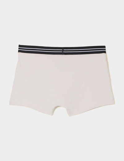 Lot 4 boxers DIM Ecodim gris homme