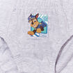 Lot de 3 slips Paw Patrol bleu garçon