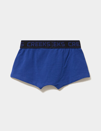 Lot 3 boxers bleu gar&ccedil;on