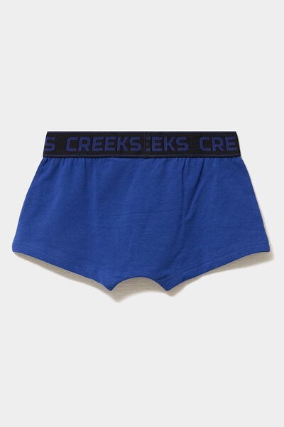 Lot 3 boxers bleu gar&ccedil;on