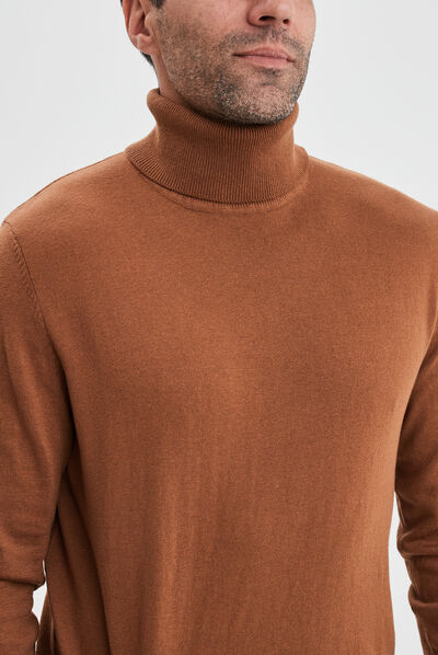 Pull avec col roulé camel homme