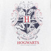 Pull droit manches longues Harry Potter gris fille