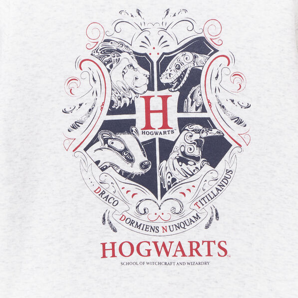 Pull droit manches longues Harry Potter gris fille