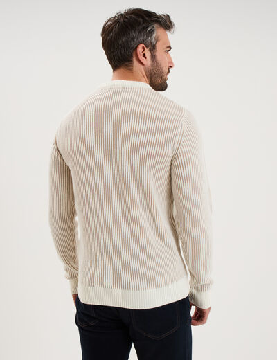 Pull c&ocirc;tel&eacute; col rond manches longues gris clair homme