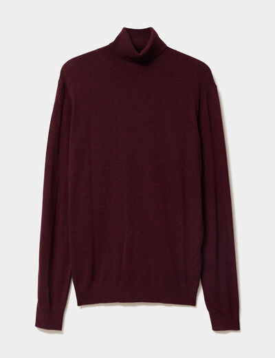 Pull col roul&eacute; manches longues violet fonc&eacute; homme