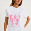 T-shirt col rond manches courtes coton blanc femme