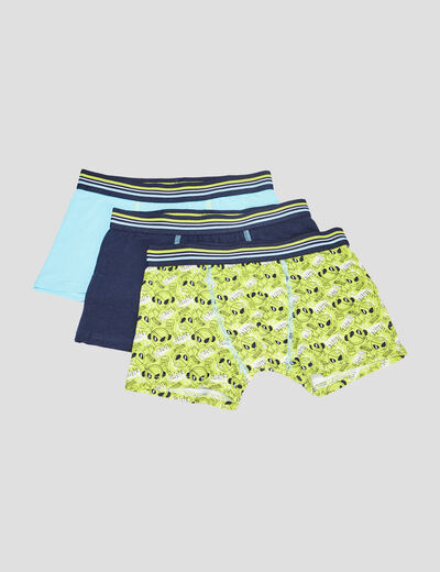 Lot 3 boxers vert anis garçon