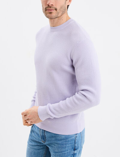 Pull avec col rond à relief parme homme