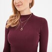 Pull ajusté côtelé col montant prune femme
