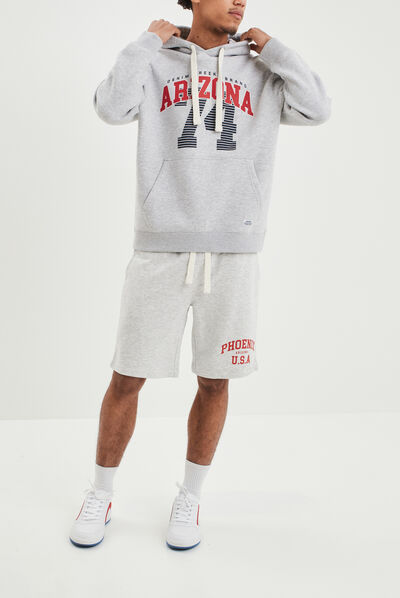 Sweat à capuche hoodie Creeks gris homme