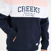 Sweat hoodie en molleton 1 poche rose pastel homme
