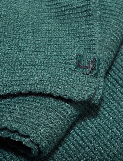 Écharpe Creeks vert homme