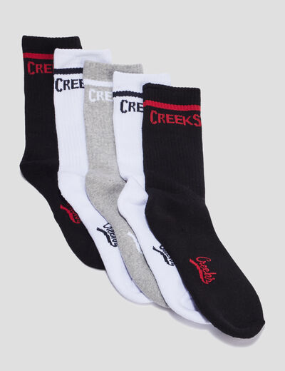 Lot 5 paires chaussettes multicolore homme