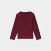 Ensemble pyjama pantalon t-shirt coton bordeaux gar&ccedil;on