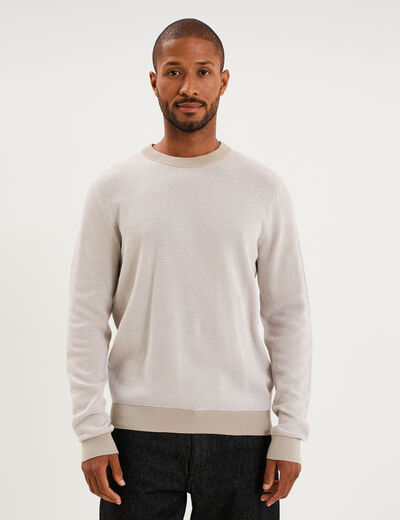 Pull col rond manches longues gris clair homme