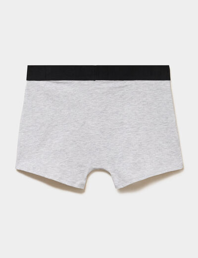 Lot 5 boxers gris homme