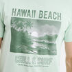 T-shirt col rond manches courtes coton vert pastel homme
