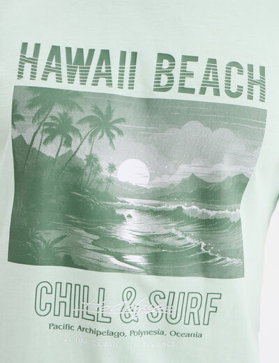 T-shirt col rond manches courtes coton vert pastel homme