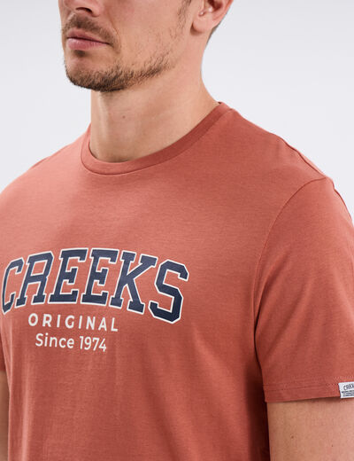 T-shirt manches courtes coton vieux rose homme