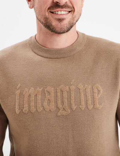 Pull col rond manches longues Liberto taupe homme