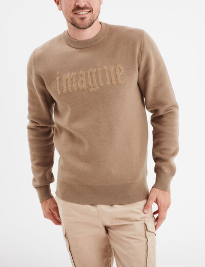 Pull col rond manches longues Liberto taupe homme