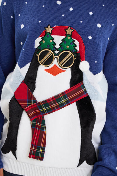 Pull de No&euml;l col rond bleu homme