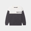 Sweat col rond manches longues coton gris foncé garçon