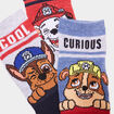 Lot 3 paires chaussettes Pat Patrouille multicolore garçon