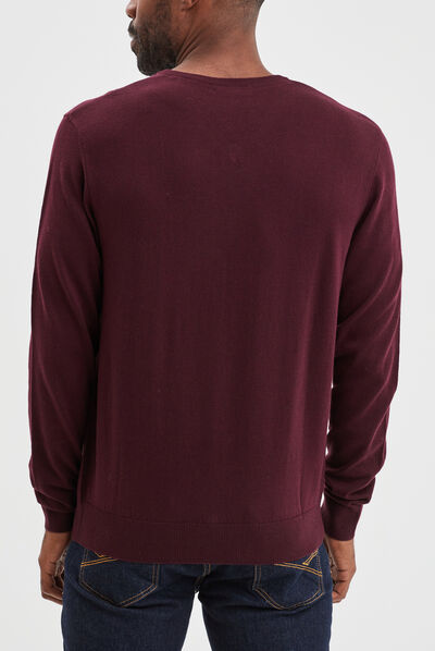 Pull avec col en V prune homme