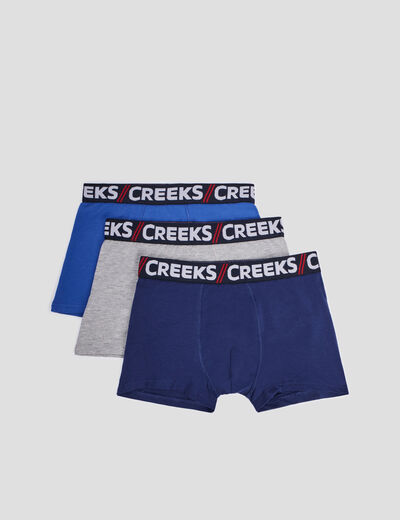 Lot 3 boxers coton Creeks bleu homme