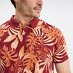 Polo jersey coton manches courtes bordeaux homme