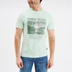 T-shirt col rond manches courtes coton vert pastel homme