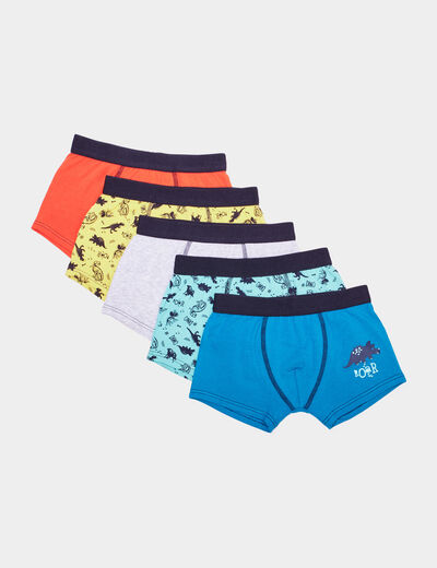 Lot 5 boxers coton bleu garçon