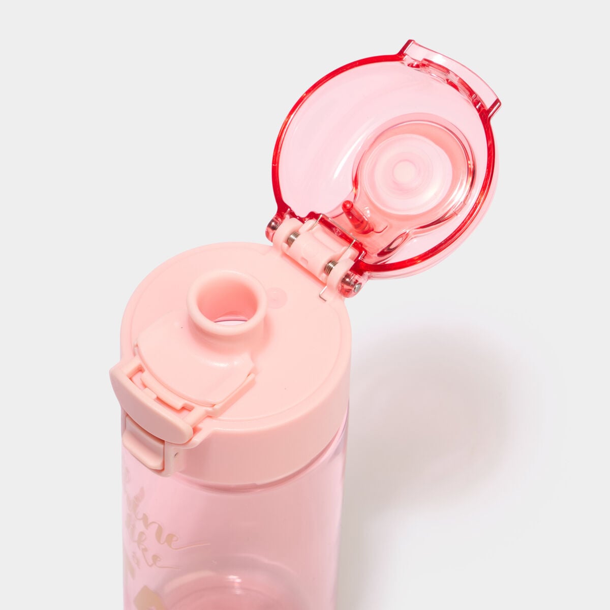 Gourde transparente rose mixte