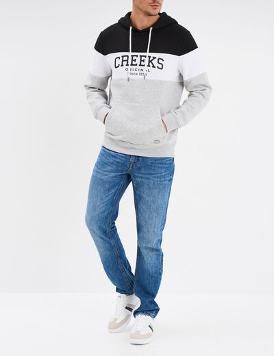 Sweat à capuche hoodie Creeks gris homme