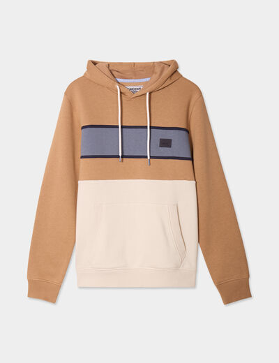 Sweat à capuche hoodie colorbloc Creeks taupe homme