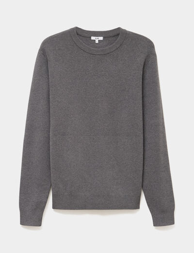 Pull col rond manches longues gris homme