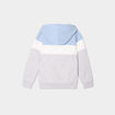 Sweat hoodie manches longues &agrave; capuche bleu ciel gar&ccedil;on