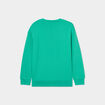 Sweat col rond manches longues vert menthe gar&ccedil;on