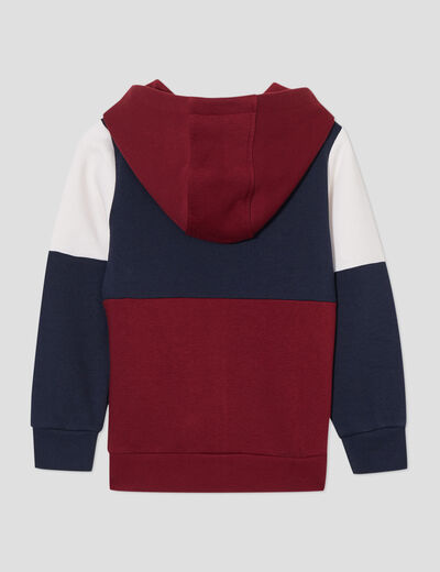 Sweat à capuche zippé Creeks bordeaux garçon